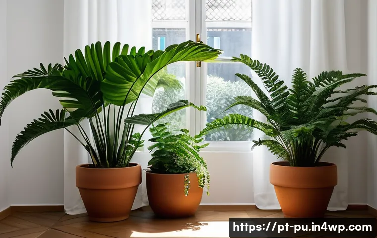자연광을 위한 실내 식물 배치 방법 관련 이미지 2